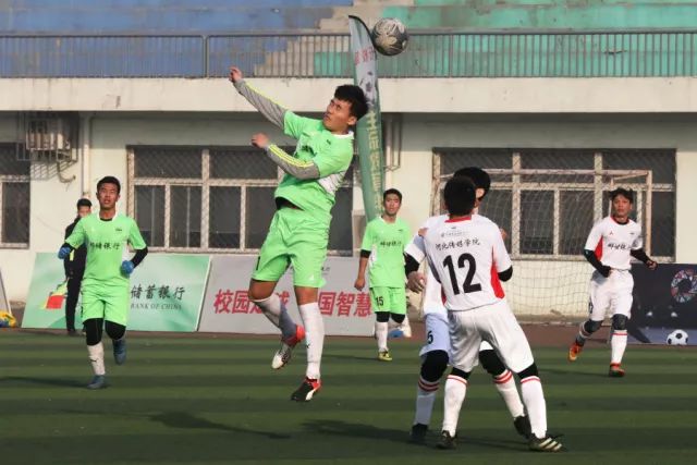 开云入口应用